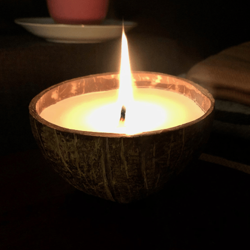 AROMA SOY WAX HANDMADE COCONUT SHELL CANDLE - Desamorganics.com